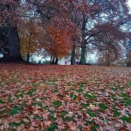 Domaine De Marchal - Le Balcon Du Parc - Tente Eco-lodge Luxusní stan *