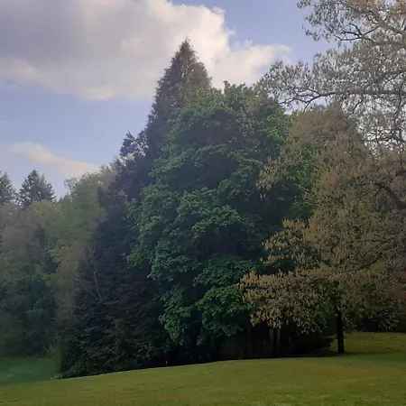 럭셔리텐트 Domaine De Marchal - Le Balcon Du Parc - Tente Eco-lodge